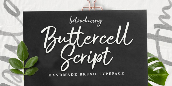 Schriftart Buttercell Script