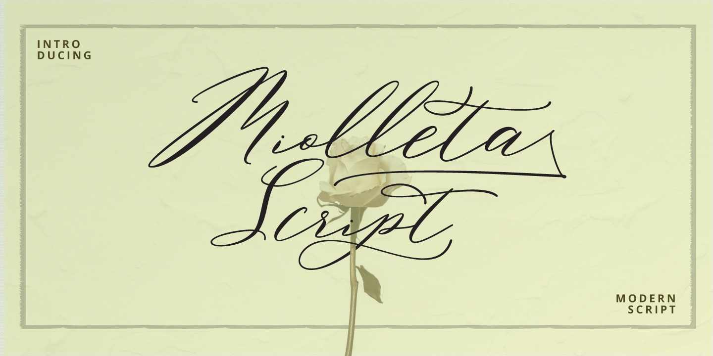 Schriftart Miolleta Script