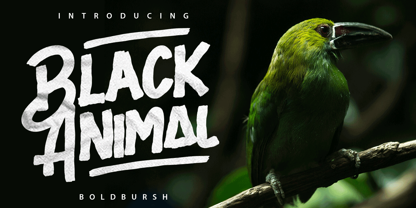 Schriftart Black Animal