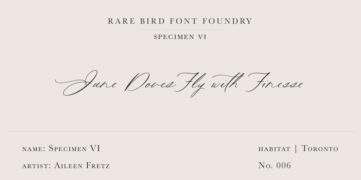 Schriftart Rare Bird Specimen VI