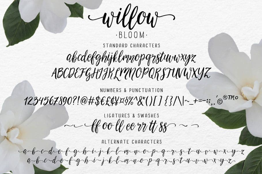 Schriftart Willow