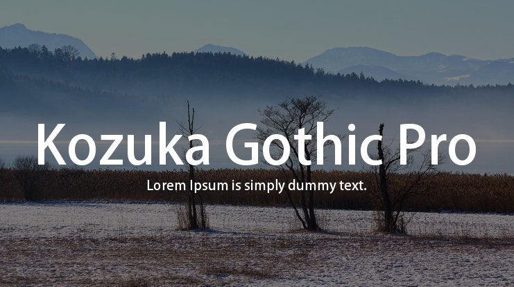 Schriftart Kozuka Gothic Pro