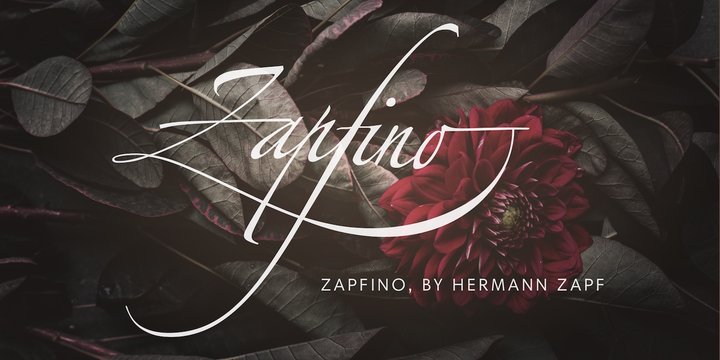 Schriftart Zapfino Extra
