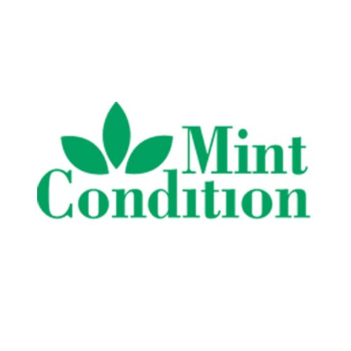 Schriftart Mint Condition