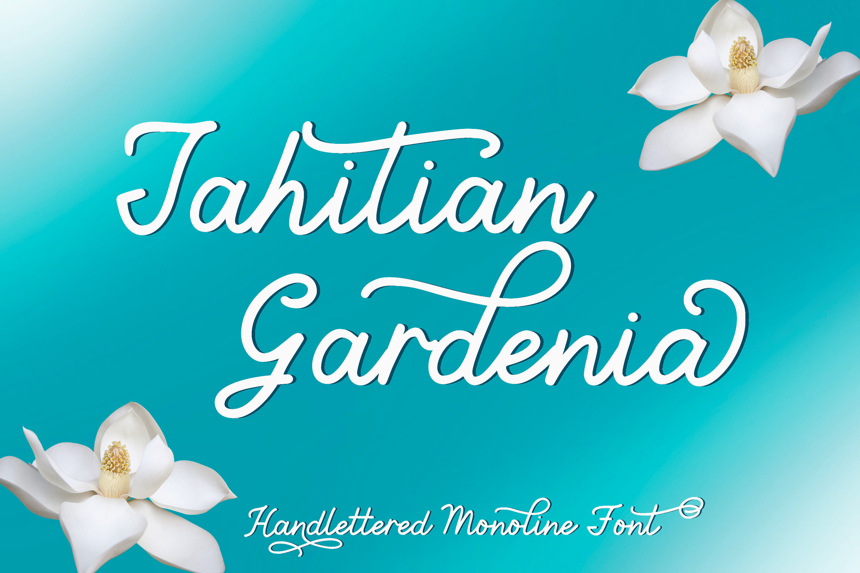 Schriftart Tahitian Gardenia