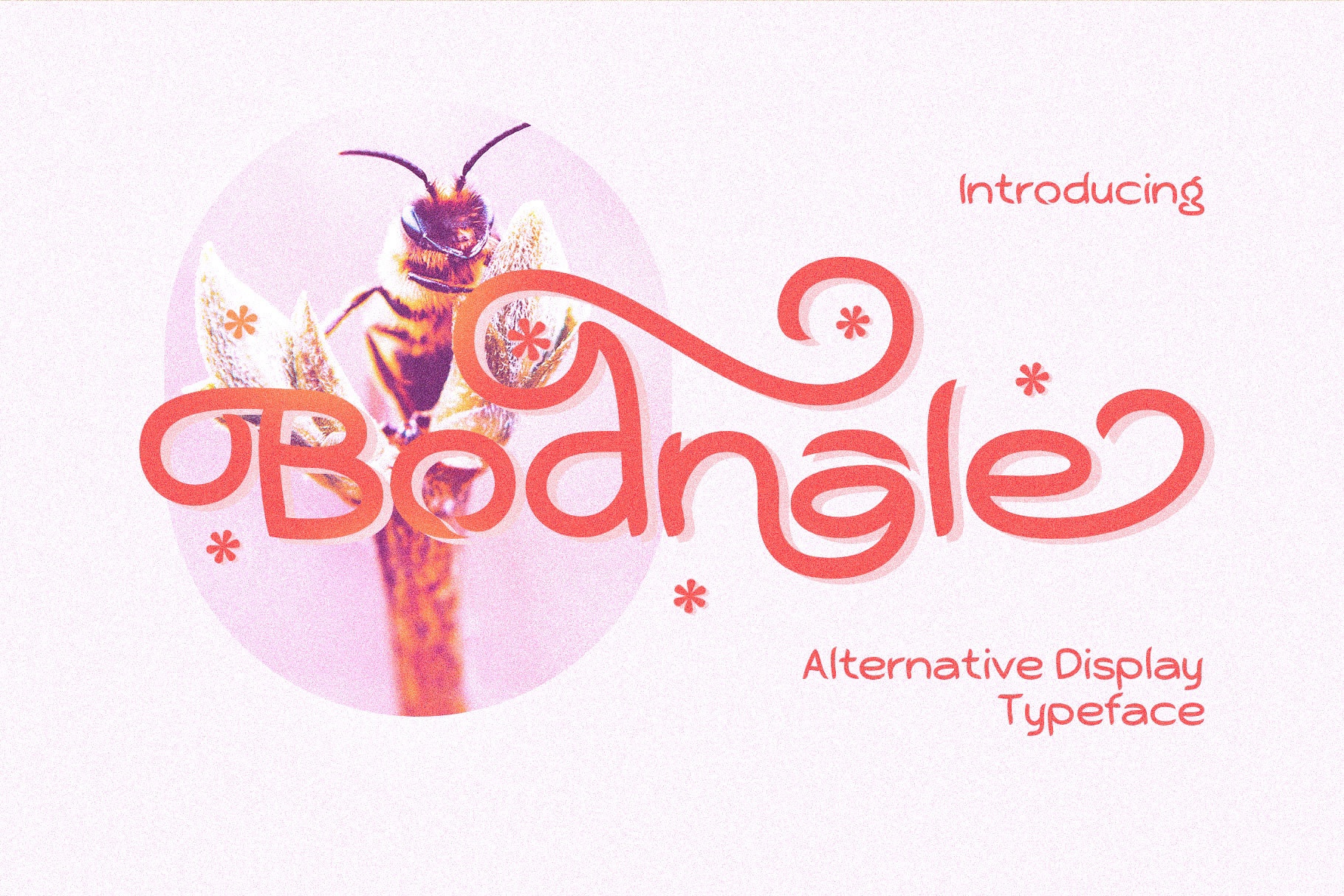 Schriftart Bodnale