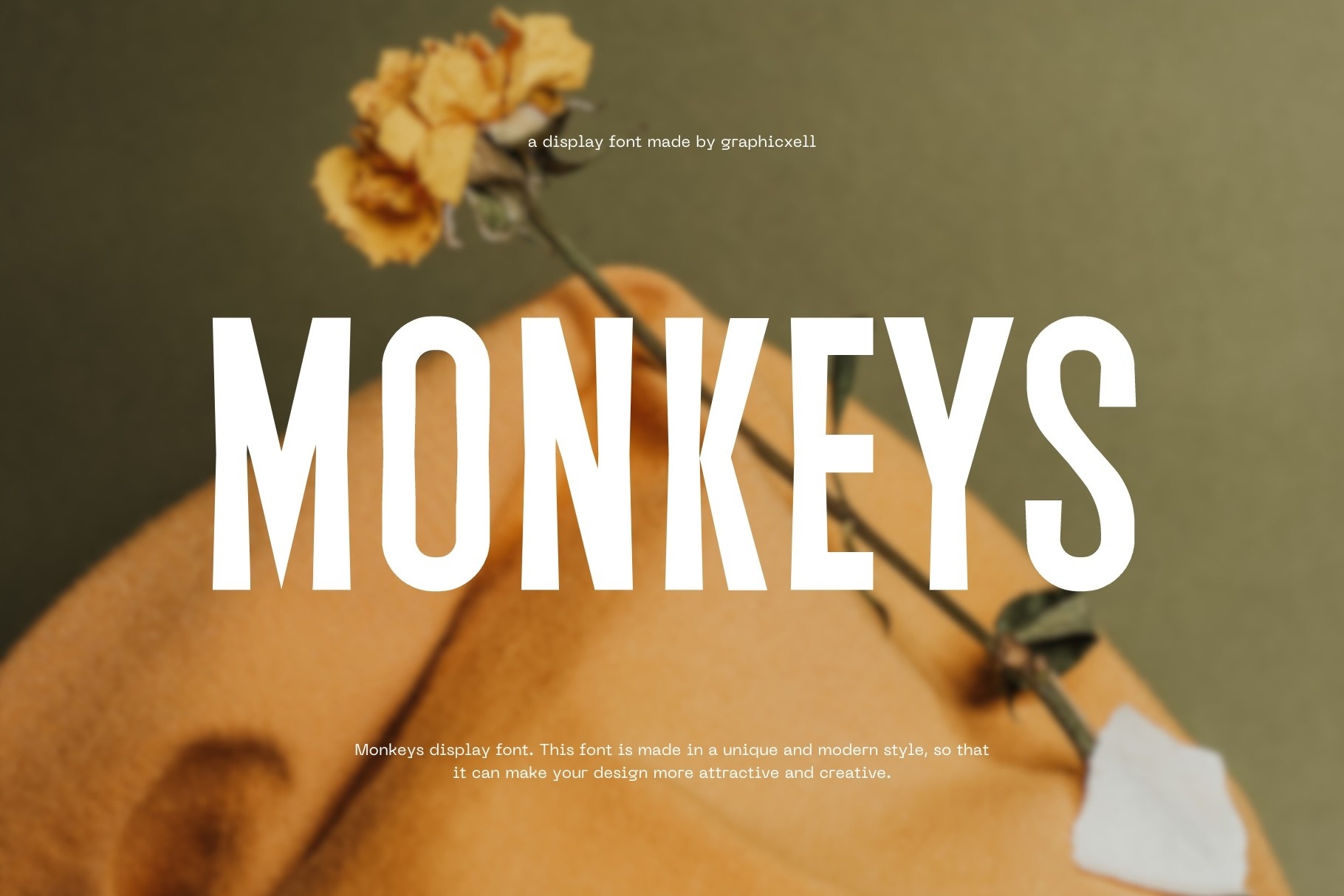 Schriftart Monkeys
