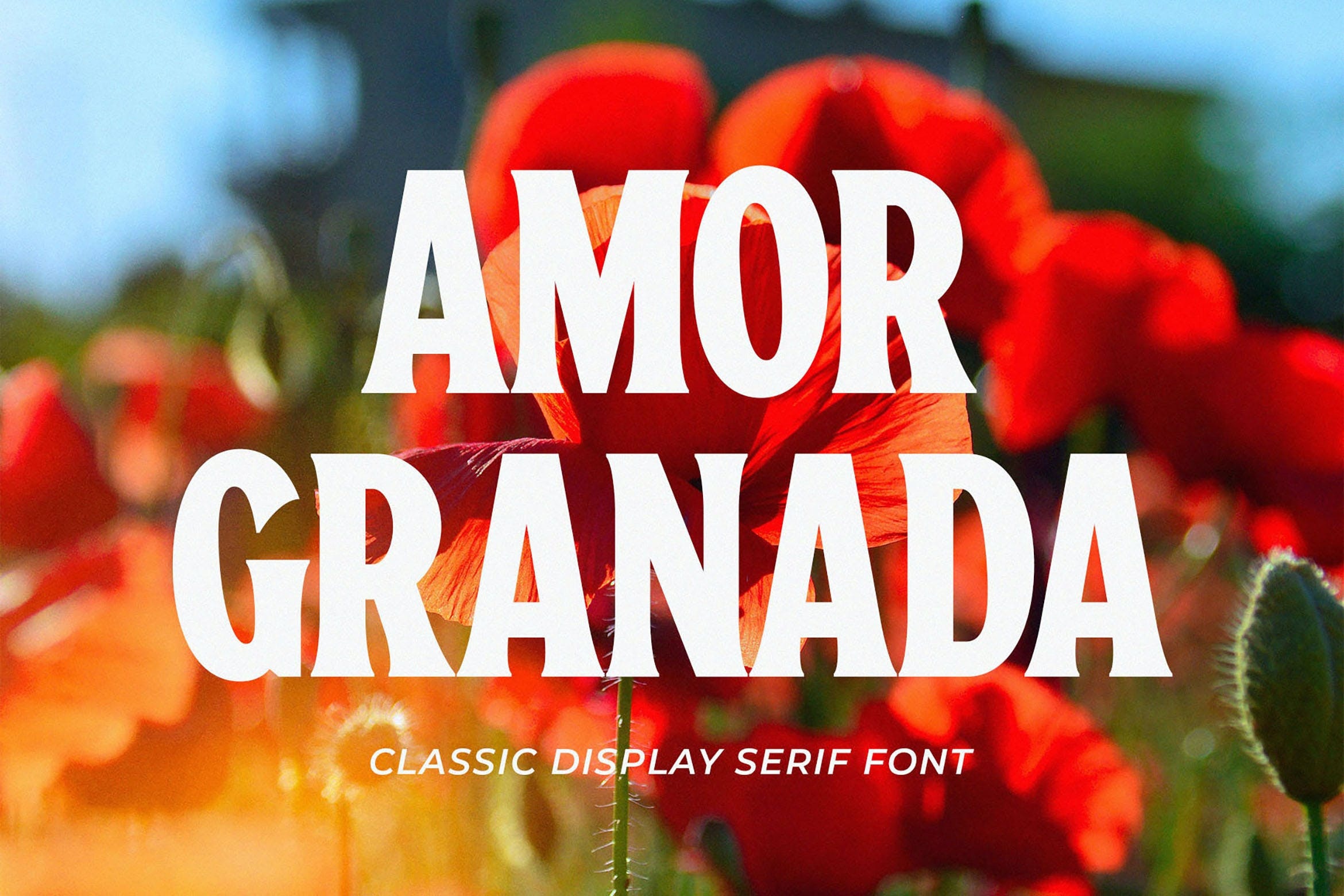 Schriftart Amor Granada