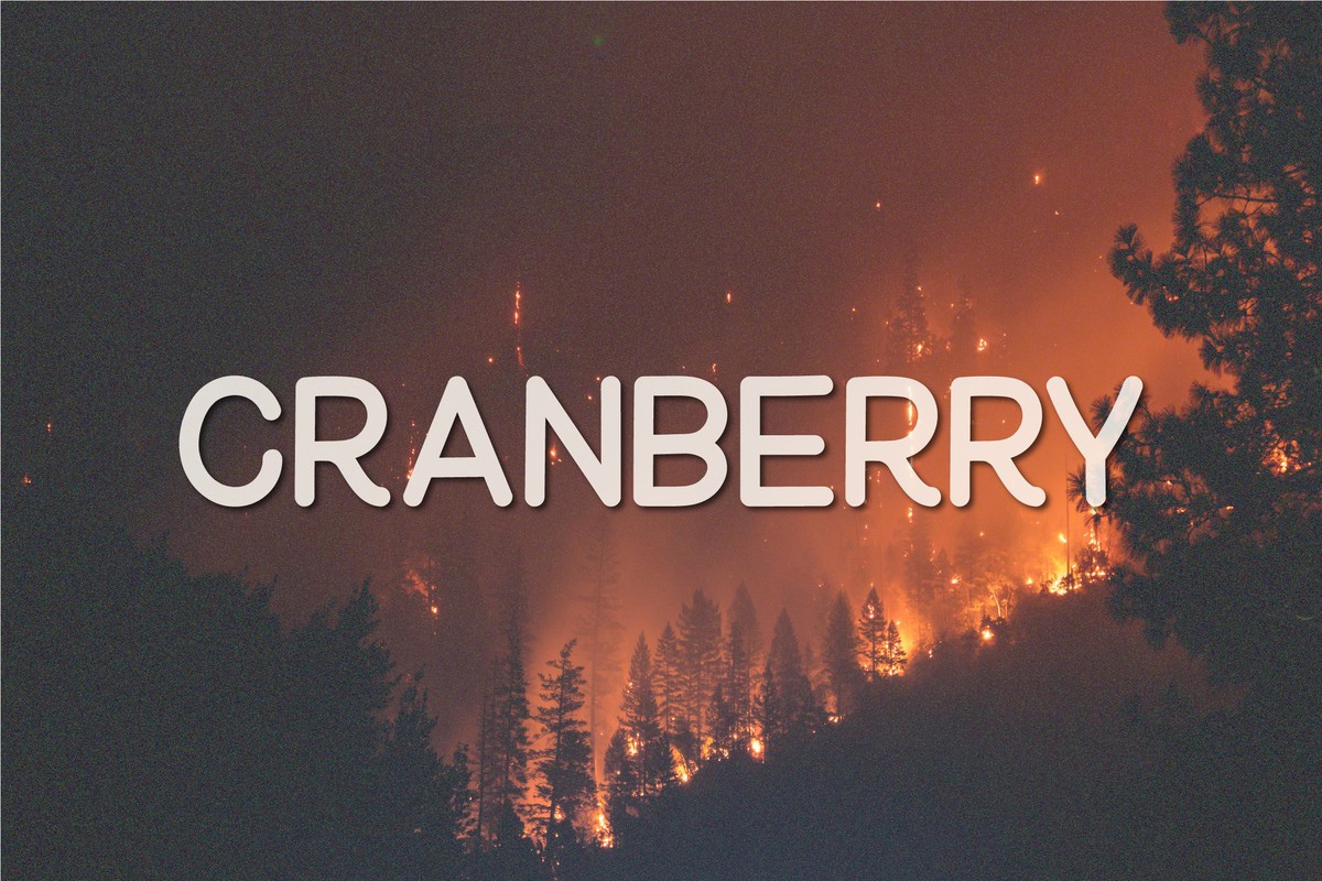 Schriftart Cranberry