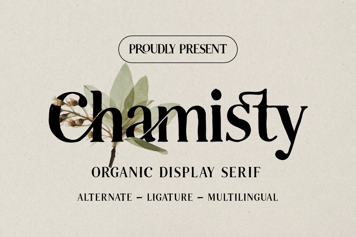 Schriftart Chamisty