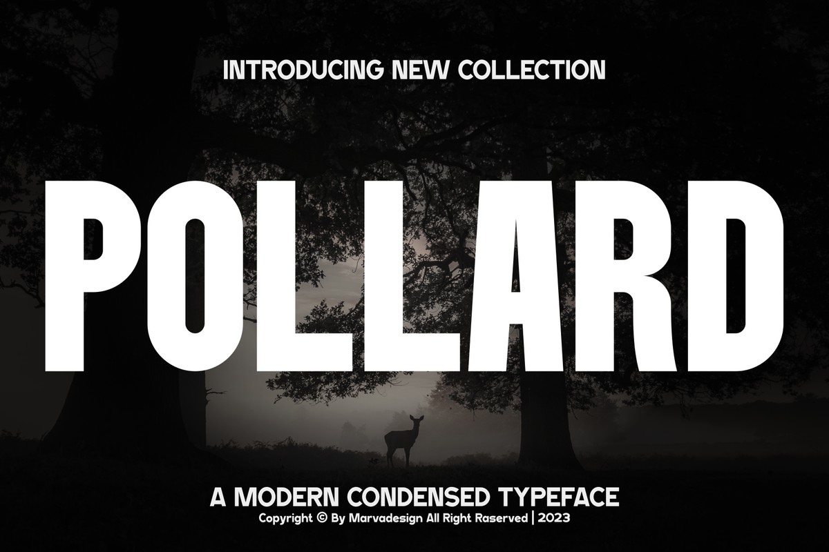 Schriftart Pollard