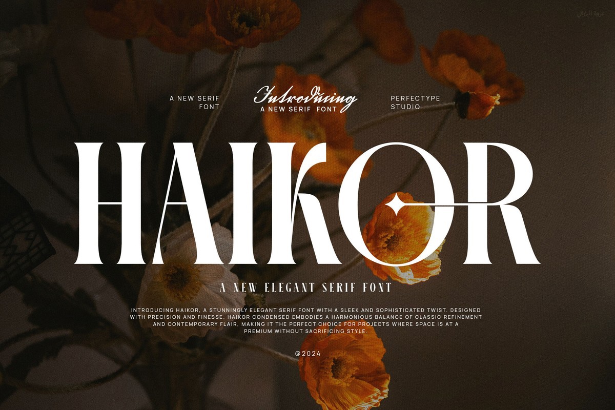 Schriftart Haikor