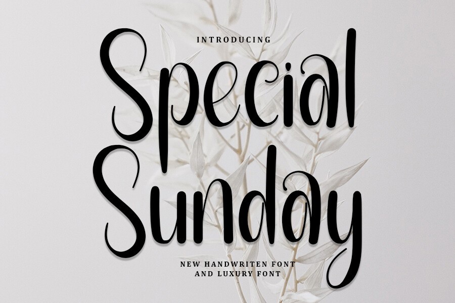 Special Sunday