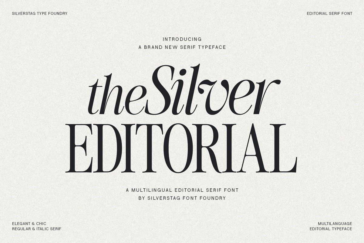 Schriftart The Silver Editorial