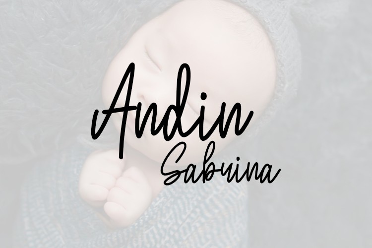 Schriftart Andin Sabrina