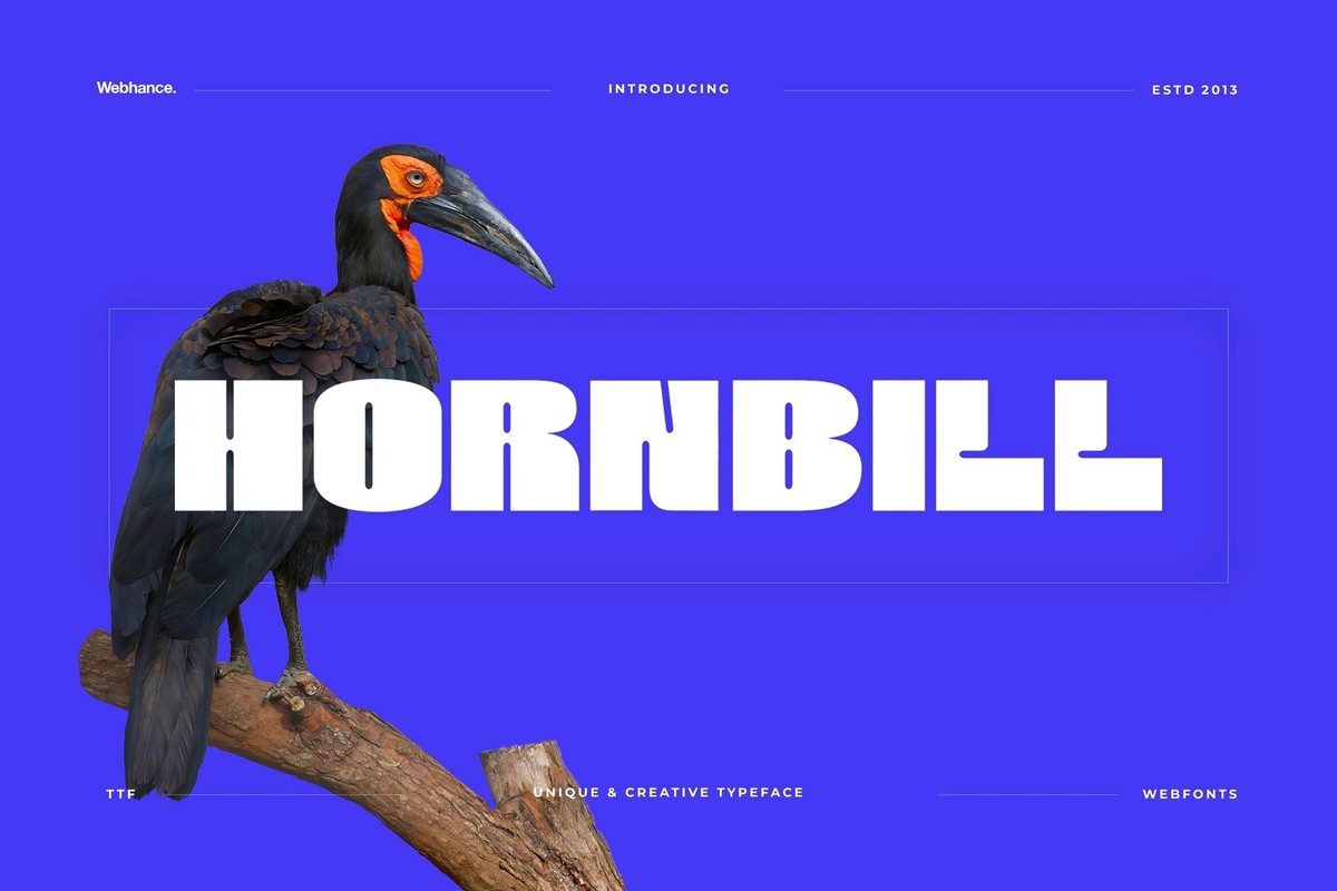 Schriftart Hornbill Display Bold