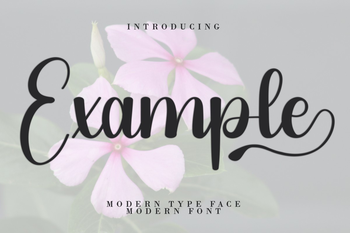 Schriftart Example