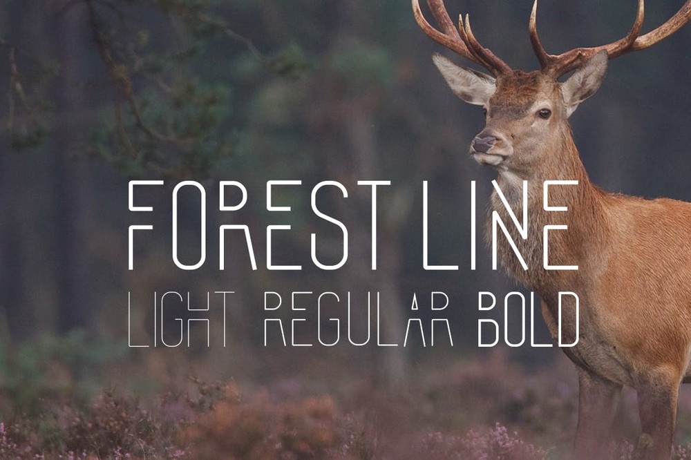 Schriftart Forest Line