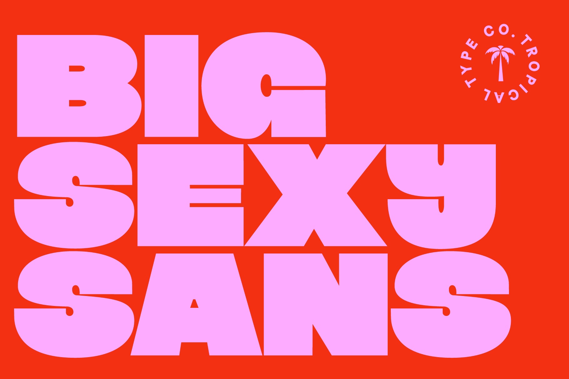 Big Sexy Sans