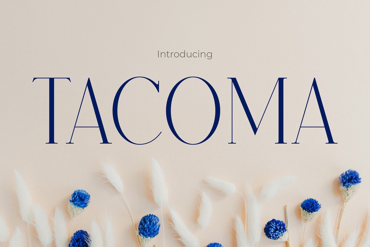 Schriftart Tacoma