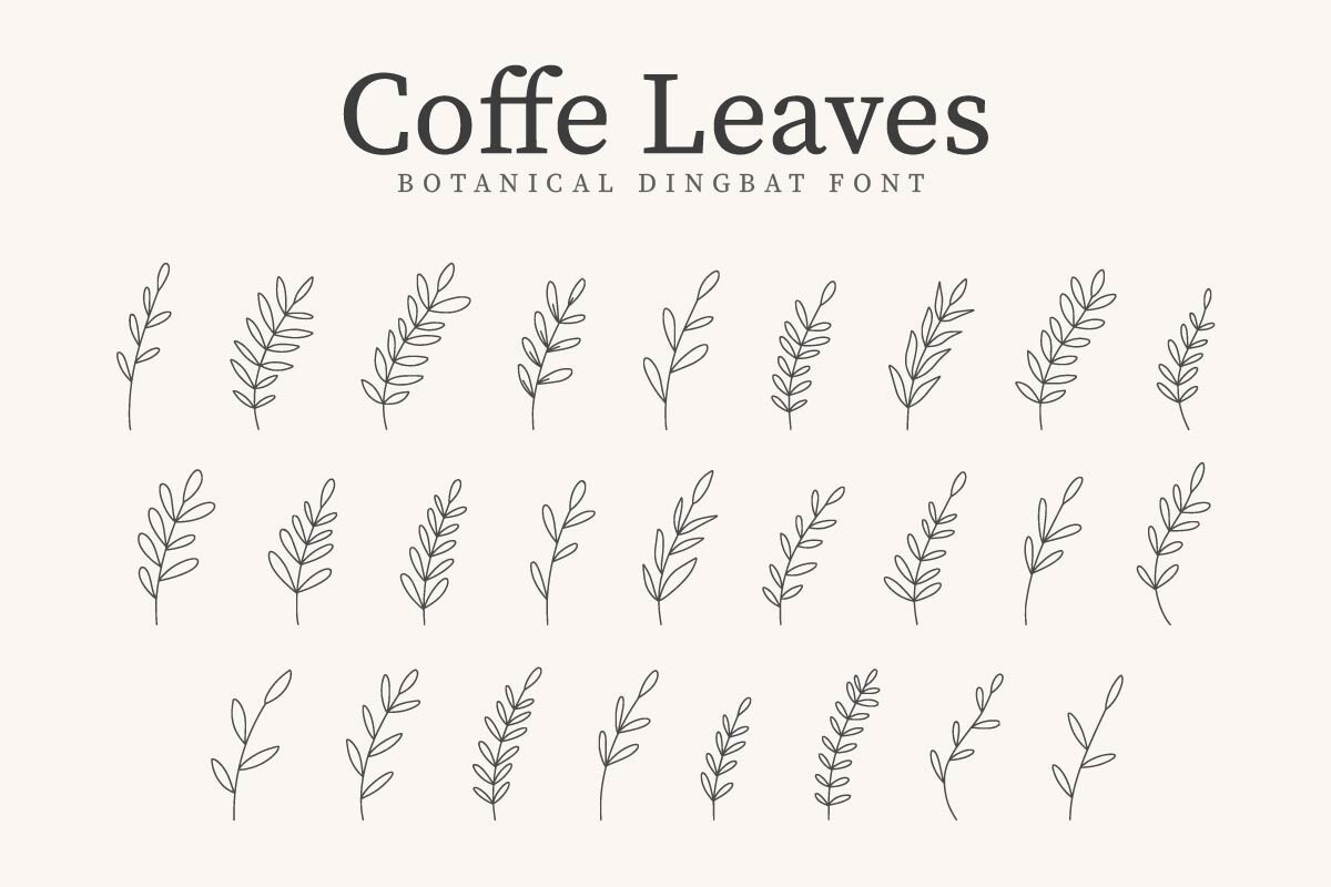 Schriftart Coffe Leaves