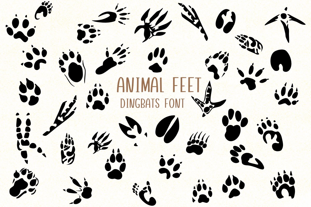 Schriftart Animal Feet