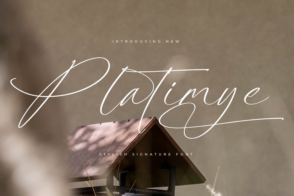 Schriftart Platimye