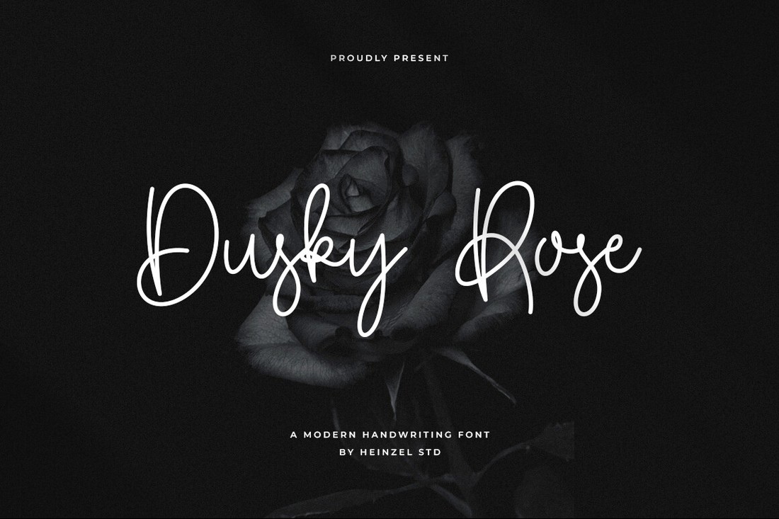 Dusky Rose