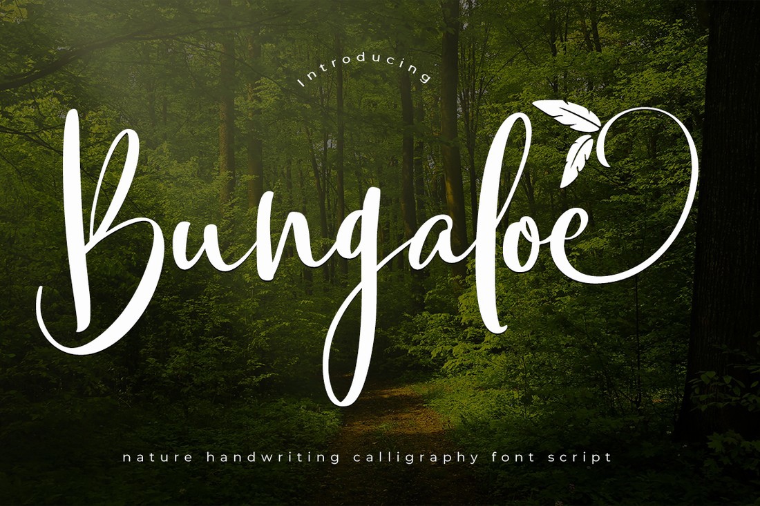 Schriftart Bungaloe