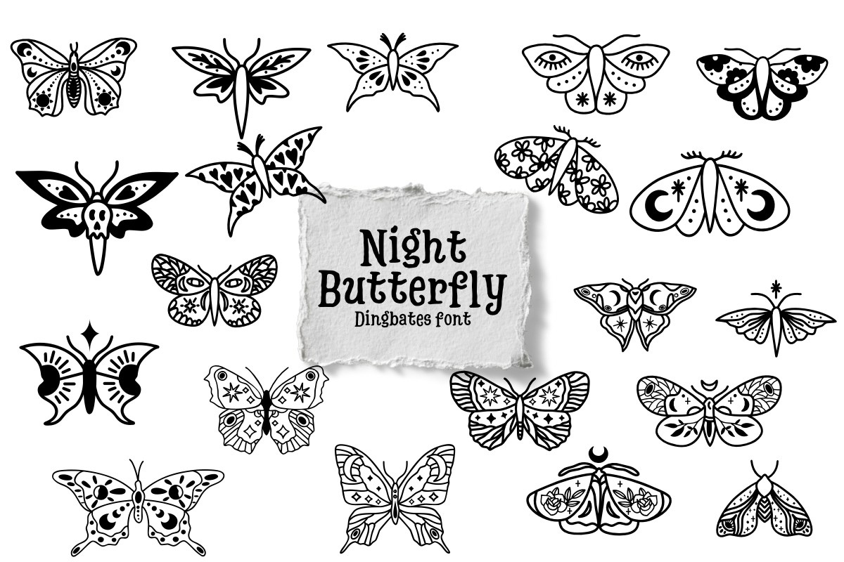 Night Butterfly