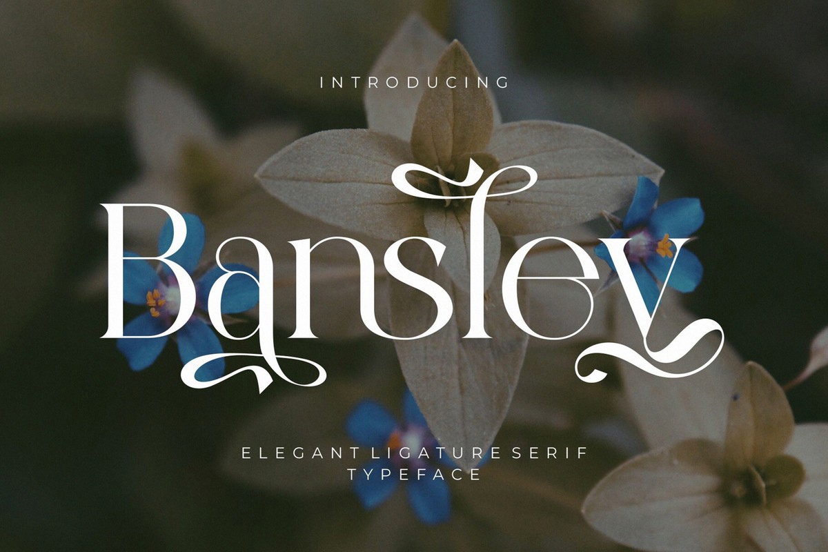 Bansley