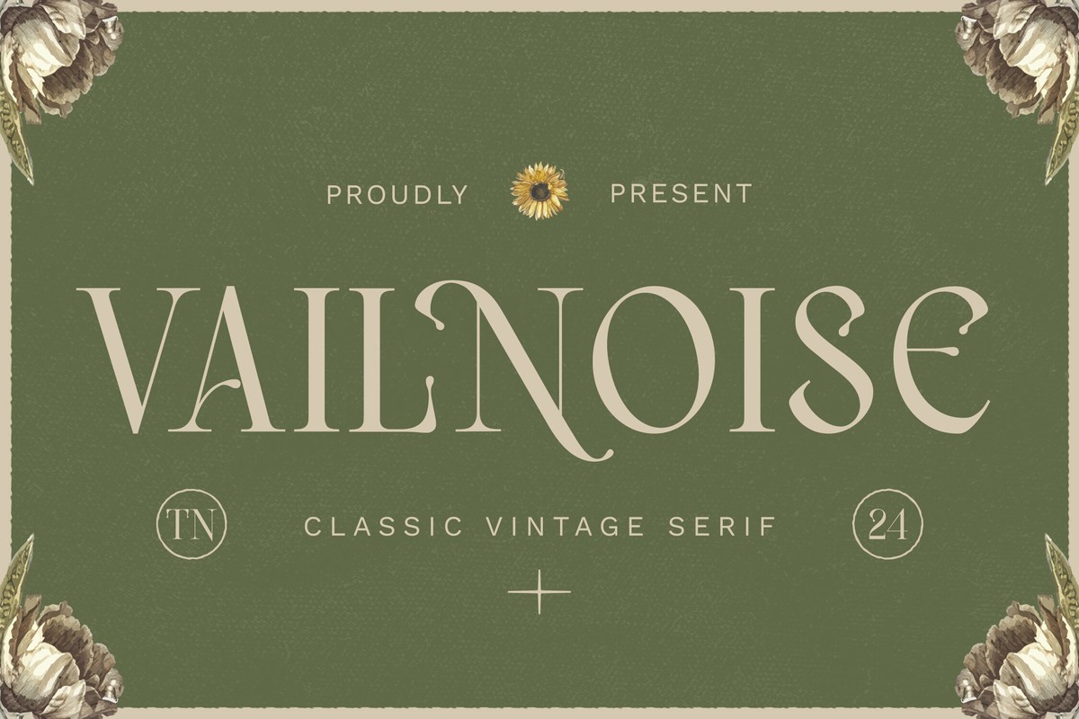 Schriftart Vailnoise