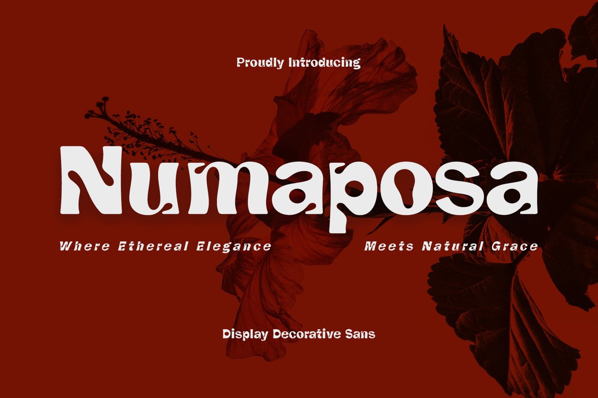 Schriftart CF Numaposa