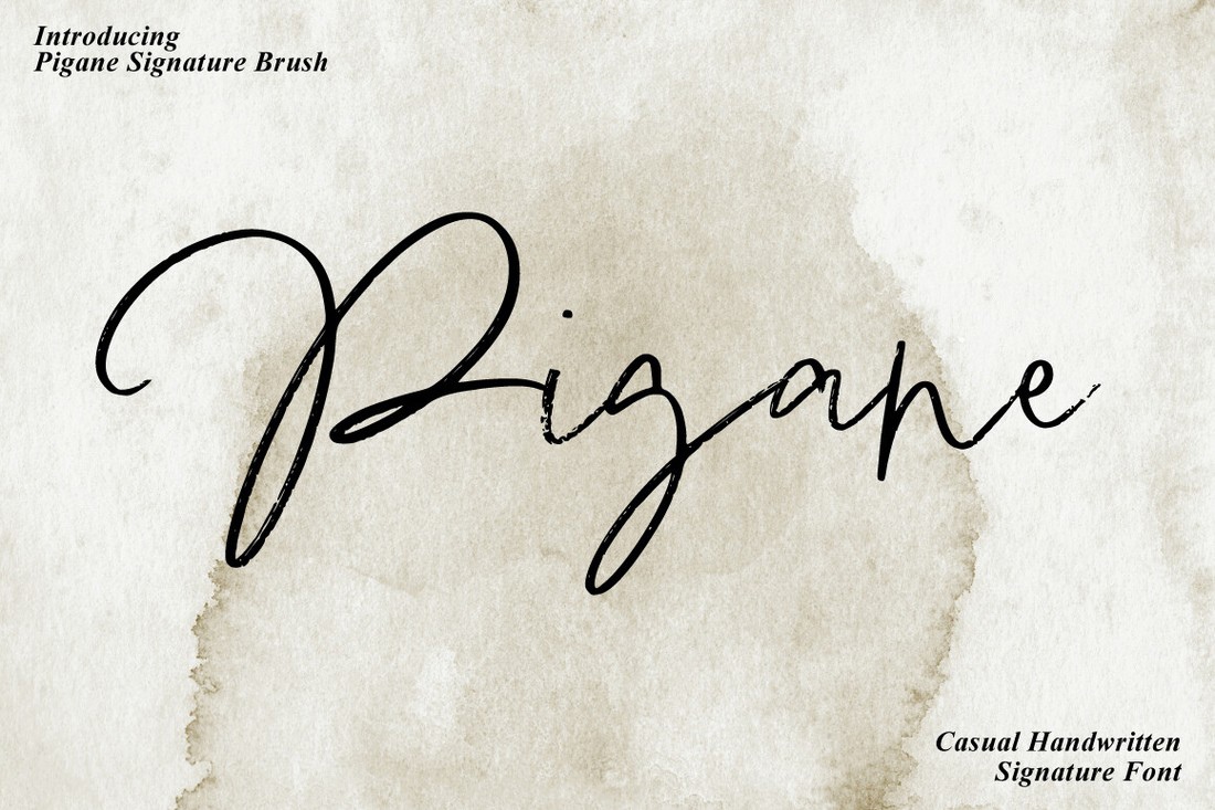 Pigane Signature Brush